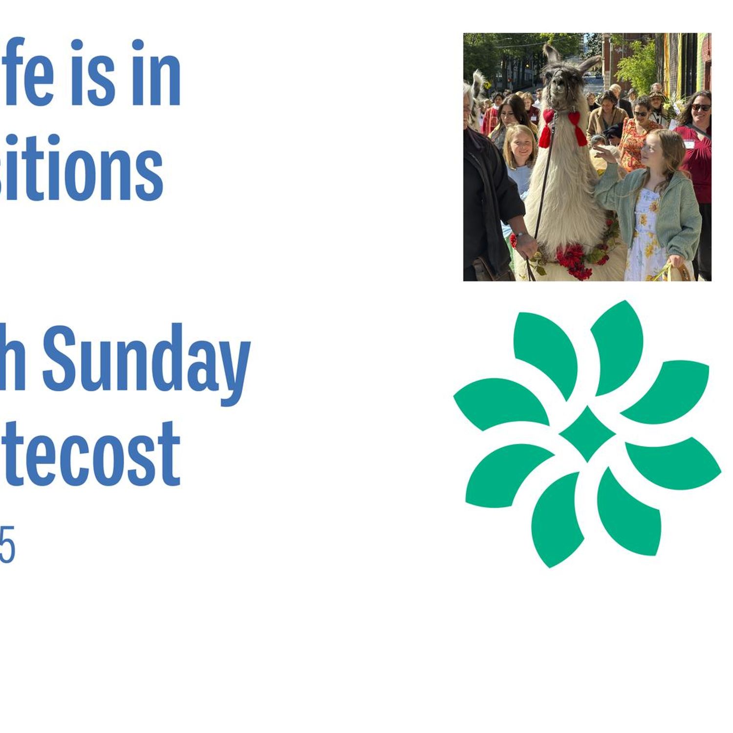 Twentieth Sunday after Pentecost episode artwork